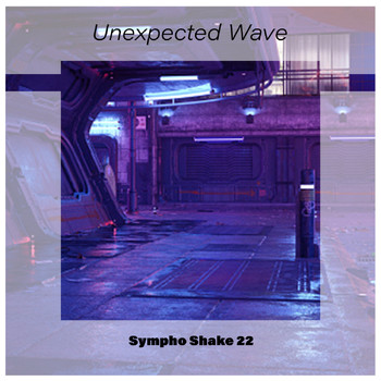 Various Artists - Unexpected Wave Sympho Shake 22