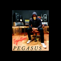 Pegasus - Ignition