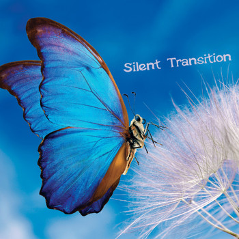 Various Artists - Silent Transition