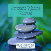 Green Nature SPA - Ambient Nature Sounds - Best Relaxing Spa Music