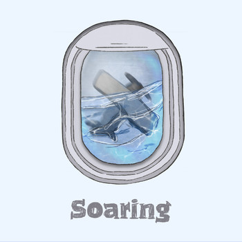 INTEC - Soaring