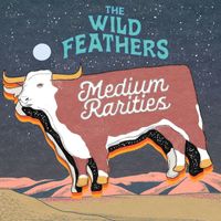 The Wild Feathers - Medium Rarities