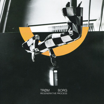 Trøm Borg - Regenerative Process