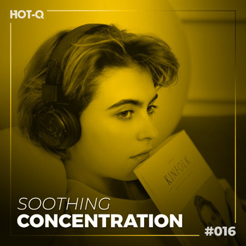 Various Artists - Soothing Concentration 016