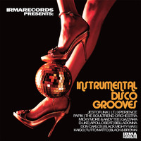 IRMA Records - Instrumental Disco Grooves (IRMA Records presents)