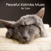 Cats Music Zone, Calm Pets Music Academy - In Deep Trance