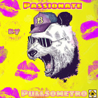 Pullsometro - Passionate