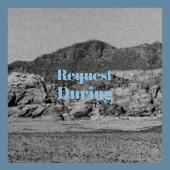 Various Artists - Request During