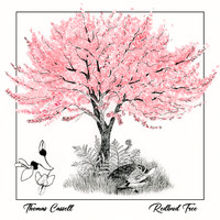 Thomas Cassell - Redbud Tree