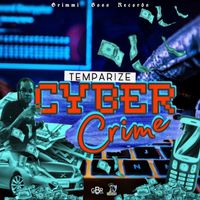 Temparize - Cyber Crime