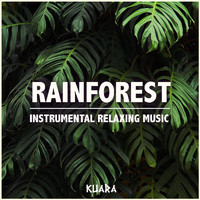 Kuara - Rainforest: Instrumental Relaxing Music