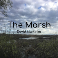 David Martinka - The Marsh
