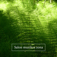 Background Music - Salon muzikos zona