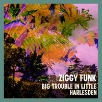 Ziggy Funk - Big Trouble in Little Harlesden