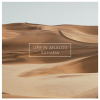 Life in Analog - Sahara