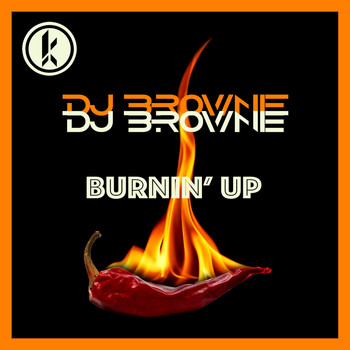 DJ Brownie - Burnin UP