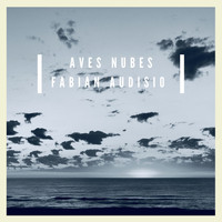 Fabian Audisio - Aves Nubes