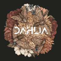 Dahlia - Dahlia