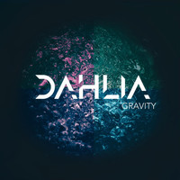 Dahlia - Gravity