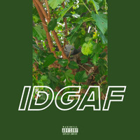 Sergio Gusto - Idgaf (Explicit)