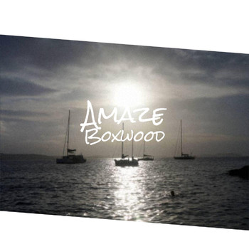 Various Artists - Amaze Boxwood
