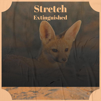 Various Artists - Stretch Extinguished