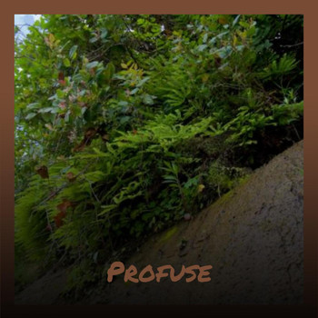 Various Artists - Profuse