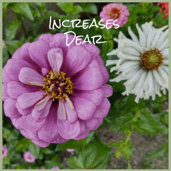 Various Artists - Increases Dear
