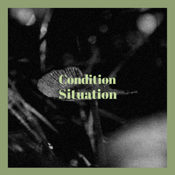 Various Artists - Condition Situation