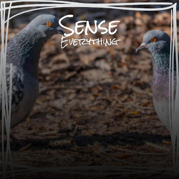 Various Artists - Sense Everything