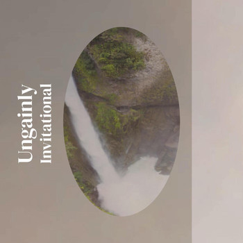 Various Artists - Ungainly Invitational