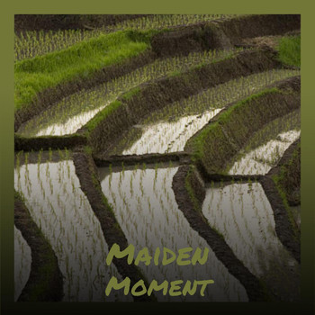 Various Artists - Maiden Moment