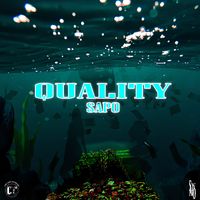 SAPO - Quality (Explicit)