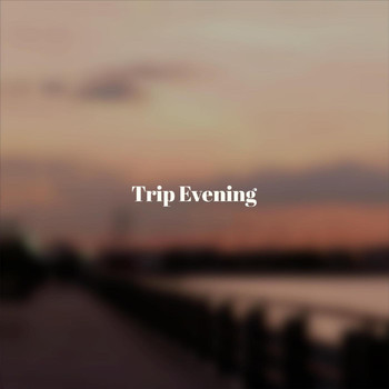 Various Artists - Trip Evening