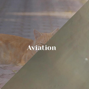Various Artists - Aviation