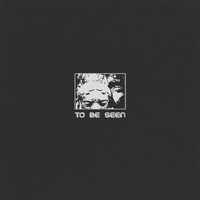 Pinz & Pelz - To Be Seen
