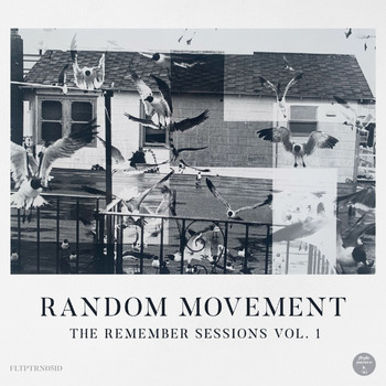 Random Movement - The Remember Sessions Vol. 1