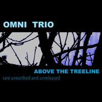 Omni Trio - Above the Treeline