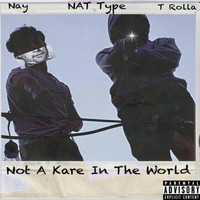 NAT TYPE - TEC (Explicit)