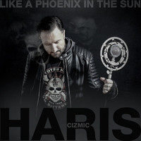 Haris Cizmic - Like a Phoenix in the Sun