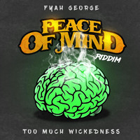 Fyah George - Too Much Wickedness (Peace of Mind Riddim)