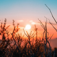 Chill Machine - Soft Dawn