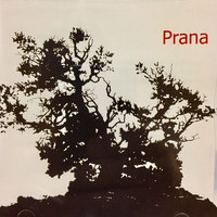Prana - Prana
