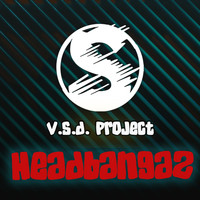 V.S.D. Project - Headbangaz