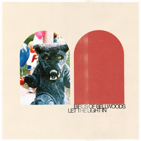 Birds of Bellwoods - Let The Light In