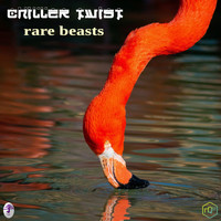 Chiller Twist - Rare Beasts
