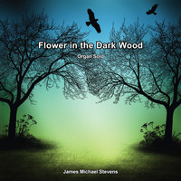James Michael Stevens - Flower in the Dark Wood - Organ Solo