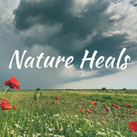 relaxing music for spiritual healing & meditation - Nature Heals