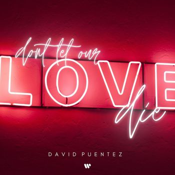 David Puentez - Don‘t Let Our Love Die