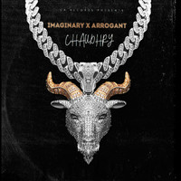 Chaudhry - IMAGINARY X ARROGANT